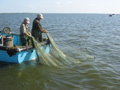 Lough Neagh’s troubled waters