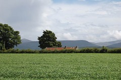 south down countryside4