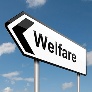 Welfare Reform Sign 13882133_xl