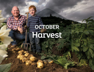 29359_October-Harvest