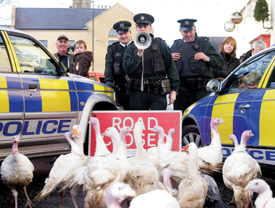 PSNI officers closing the road in Irvinestown, to halt an 'illegal' turkey parade just before Christmas. The picture was used in The Irish Times.