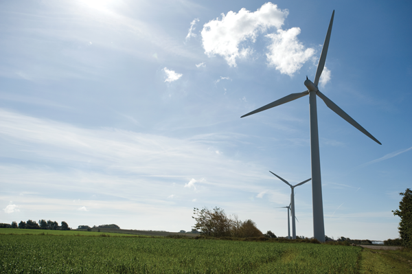 danish-wind-farm