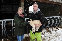 NO FEE©Press Eye Ltd Northern Ireland -26TH March 2013
Minister for Agriculture and Rural Development Michelle O'Neill pictured with Paul McEvoy and one of his rescued lambs  at his  Kilcoo farm.
Mandatory Credit - Picture by Stephen Hamilton/Presseye.com