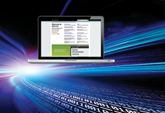 my-illustration-backdrop