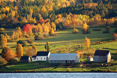 new-brunswick-credit-martin-cathrae