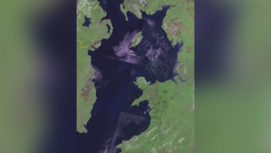 Photo of Irish Sea border: Detail lacking